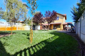 Duplex 3 Camere,Vladimirescu, Comision ZERO %  cumparator anunturi imobiliare Arad