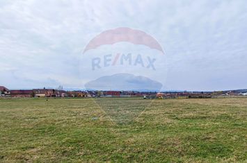 Teren de vanzare zona industriala Sura Mica anunturi imobiliare Sibiu