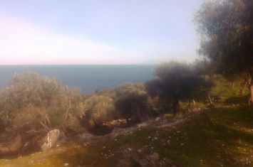 Teren construibil 57.600 mp, Chrisi Ammoudia, Thasos anunturi imobiliare Grecia