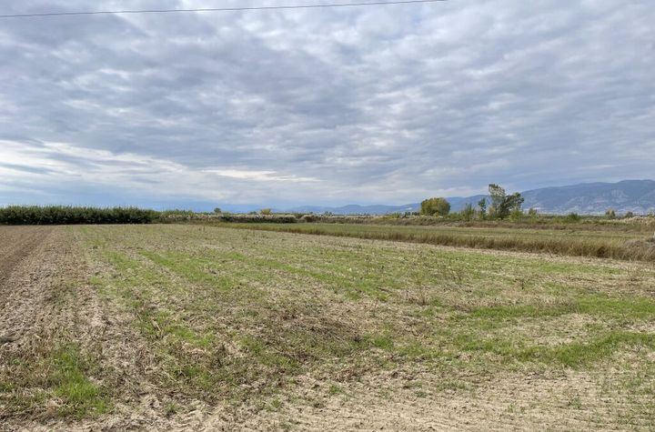 Teren agricol 9035 mp în Chrysochori (pachet) anunturi imobiliare Grecia