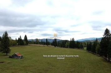 Teren Intravilan de vanzare FUNDU MOLDOVEI - Suceava anunturi imobiliare Suceava
