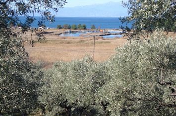 Teren construibil 12.975 mp în Skala Rachoniou anunturi imobiliare Grecia