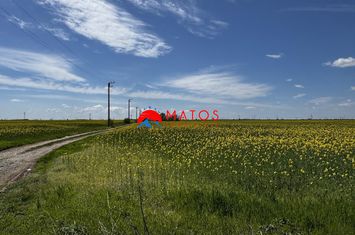 Teren Intravilan de vanzare BAICOI - Prahova anunturi imobiliare Prahova