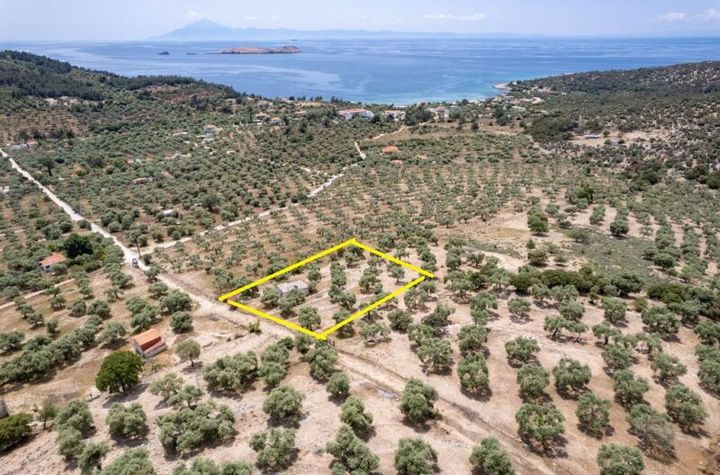 Teren 5.230 mp cu casă legală în Astrida, Thassos anunturi imobiliare Grecia