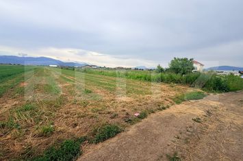 Teren de vanzare STUPINI - Brasov anunturi imobiliare Brasov