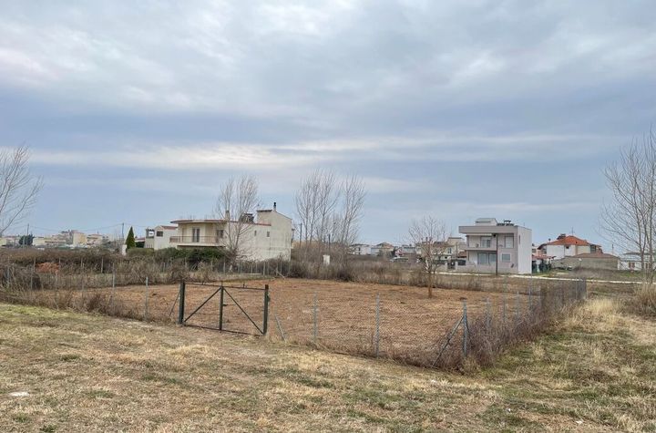 Teren construibil 420,5 mp - Chrysoupoli Nestos anunturi imobiliare Grecia