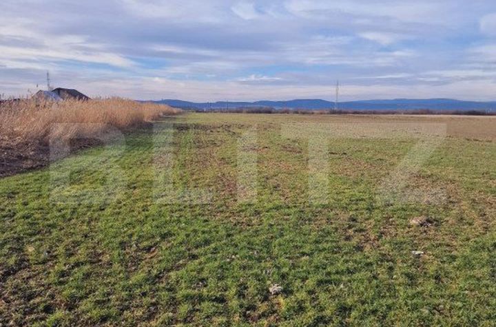 Teren de vanzare BRASOV - Brasov anunturi imobiliare Brasov