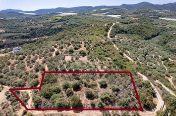 Teren construibil 2.437 mp, Paralia Folias anunturi imobiliare Grecia