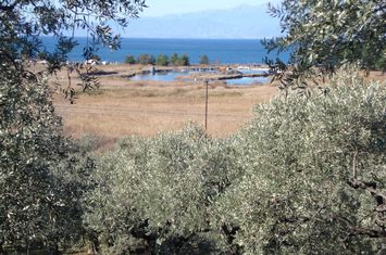 Teren construibil 12.975 mp în Skala Rachoniou anunturi imobiliare Grecia