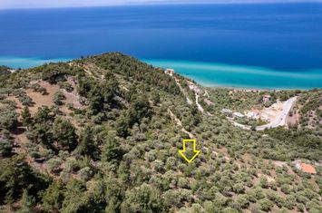 Teren construibil 5302 mp în Skala Kallirachis anunturi imobiliare Grecia