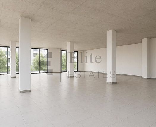 Spațiu comercial Sanmartin, 235 mp