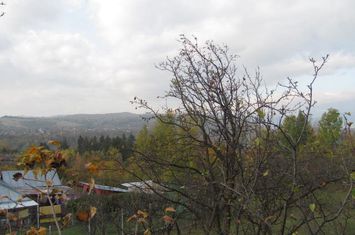 Telega Prahova anunturi imobiliare Prahova