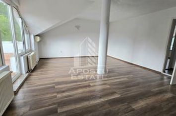 Duplex cu 5 camere si 3 bai, centrala proprie, zona Lipovei anunturi imobiliare Timis