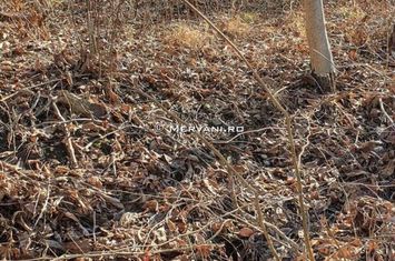 Teren de vânzare în Cornu anunturi imobiliare Prahova