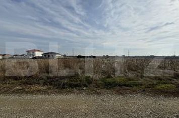 Teren de vanzare CRAIOVA - Dolj anunturi imobiliare Dolj