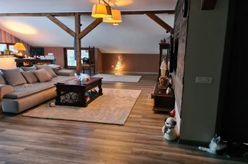 Vilă de vănzare în Provița de Jos anunturi imobiliare Prahova