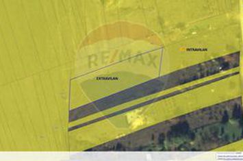 Teren intravilan de vânzare 2.307 mp – Sălicea, comuna Ciurila anunturi imobiliare Cluj