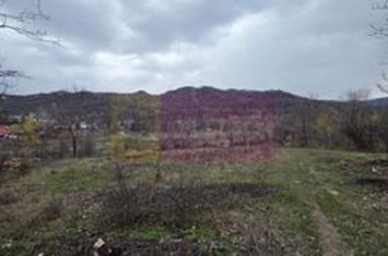 Teren de vanzare in Brebu - Raul Doftana anunturi imobiliare Prahova