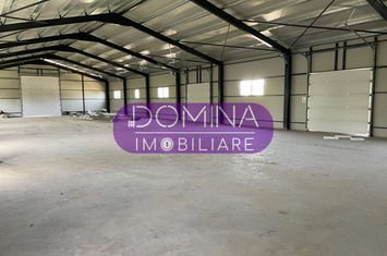Spațiu industrial de inchiriat BALESTI - Gorj anunturi imobiliare Gorj