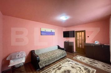 Apartament 2 camere de vanzare BRAZDA LUI NOVAC - Dolj anunturi imobiliare Dolj