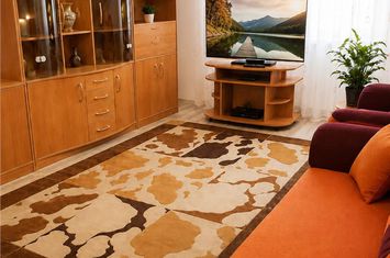 Apartament 3 camere de vanzare ASTRA - Brasov anunturi imobiliare Brasov