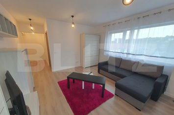 Apartament 2 camere de inchiriat IASI - Iasi anunturi imobiliare Iasi