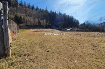 Teren de vânzare în Sinaia anunturi imobiliare Prahova
