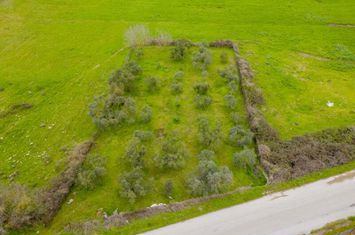 Teren agricol 812 mp în Mesotopos (Kavala) anunturi imobiliare Grecia