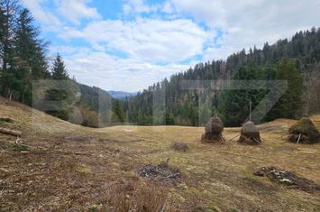 Teren de vanzare SCARISOARA - Alba anunturi imobiliare Alba