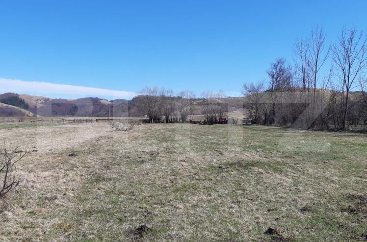 Teren de vanzare VALEA DRAGANULUI - Cluj anunturi imobiliare Cluj