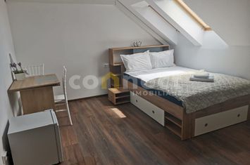 Vilă - 7 camere de inchiriat CLUJ-NAPOCA - Cluj anunturi imobiliare Cluj