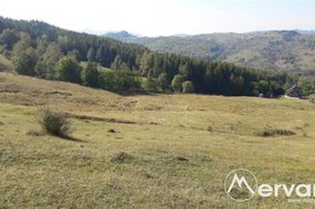 Teren Intravilan de vanzare BREAZA - Prahova anunturi imobiliare Prahova