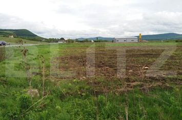 Teren de vanzare BECLEAN - Bistrita-Nasaud anunturi imobiliare Bistrita-Nasaud