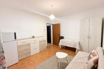 DE INCHIRIAT, APARTAMENT CU O CAMERA, COPOU, UNIVERSITATEA CUZA anunturi imobiliare Iasi