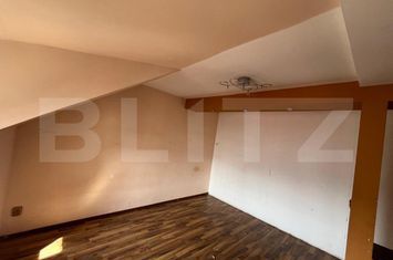 Vilă - 9 camere de inchiriat GEORGE ENESCU - Dolj anunturi imobiliare Dolj