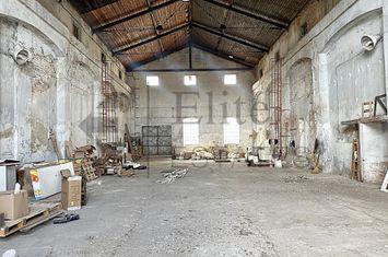 Hala cu teren de vanzare in zona Garii din Salonta anunturi imobiliare Bihor