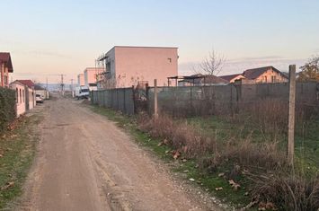 Teren de vanzare BORDEI - Dolj anunturi imobiliare Dolj