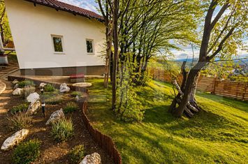 Casă - 3 camere de vanzare SALICEA - Cluj anunturi imobiliare Cluj