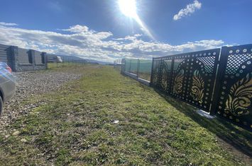 Teren de vanzare BICFALAU - Covasna anunturi imobiliare Covasna