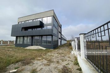 Spațiu industrial de vanzare MAGURELE - Bucuresti anunturi imobiliare Bucuresti