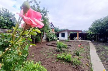 Vilă - 6 camere de inchiriat FLORILOR - Brasov anunturi imobiliare Brasov