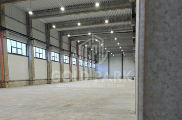 Depozit/Hala-In Park Industrial- Zona Someseni-2900 mp anunturi imobiliare Cluj