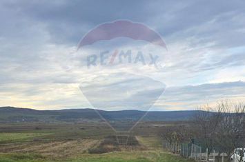 Teren intravilan si extravilan 8,282mp oras Negresti, judetul Vaslui anunturi imobiliare Vaslui