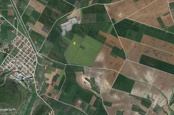 Teren construibil 5400 mp în Choumniko anunturi imobiliare Grecia