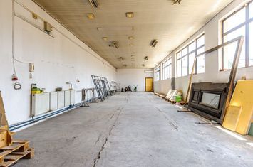 Spațiu industrial 115mp-ideal depozitare/productie anunturi imobiliare Arad