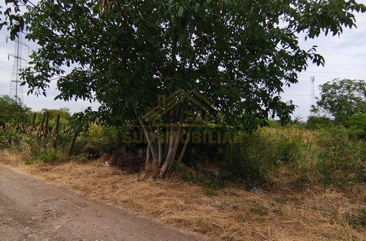 Teren Intravilan, deschidere 26m, Str Sf Agnes, P.U.G. P+2 anunturi imobiliare Bucuresti