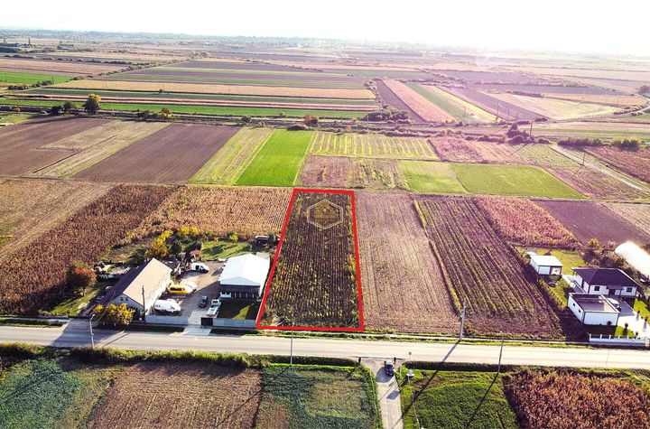 Teren Intravilan de vanzare NORD - Satu Mare anunturi imobiliare Satu Mare