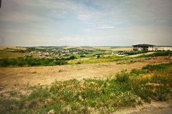 Teren de vanzare CORNESTI - Iasi anunturi imobiliare Iasi