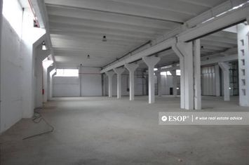 Spațiu industrial de inchiriat BRAGADIRU - Bucuresti anunturi imobiliare Bucuresti