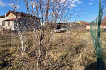 Teren de vanzare ROMANESTI - Dolj anunturi imobiliare Dolj